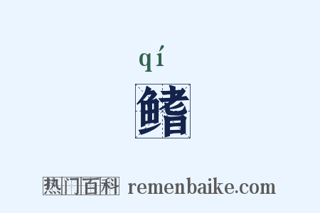 鳍是什么意思的图片